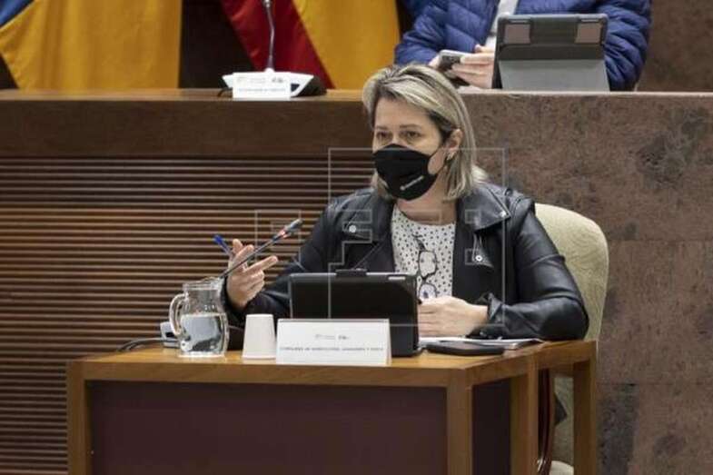 La consejera Alicia Vanoostende, durante su intervención en la comisión de Agricultura, Ganadería y Pesca del Parlamento de Canarias / EFE Miguel Barreto